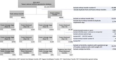 Embryo transfer impact: a comprehensive national cohort analysis comparing maternal and neonatal outcomes across varied embryo stages in fresh and frozen transfers